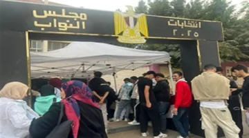 مقر اللجان.. كشف موقع لجنتك في انتخابات مجلس النواب 2025 بسهولة عبر الرقم القومي فقط